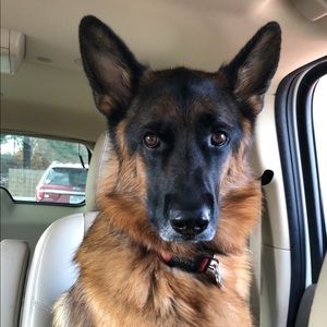 Meet your Posher, Amy